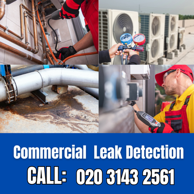 Commercial Leak Detection Services in Stone | Stone Leak Detection