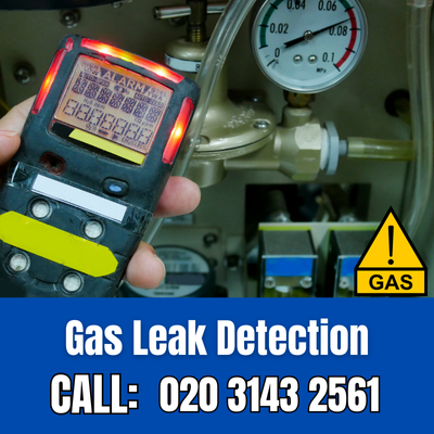 Expert Gas Leak Detection Services in Stone | Stone Leak Detection