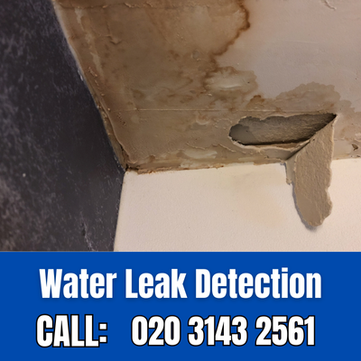 Expert Water Leak Detection Services in Stone | Stone Leak Detection